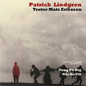 Patrick Lindgren - Tung på dej